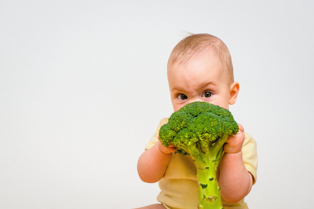 Quand démarrer la diversification alimentaire de mon bébé ? - L'ÉPICERIE DE BÉBÉ