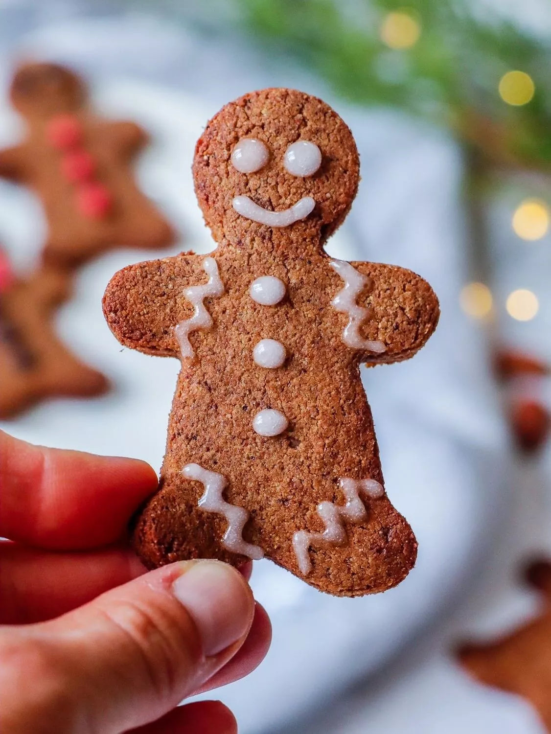 Préparation pour Biscuits de Noël BIO, Sans gluten , Sans Sucre Raffiné - Dès 15mois - L'ÉPICERIE DE BÉBÉ