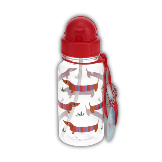 Gourde pour enfants avec paille 500 ml - Teckel